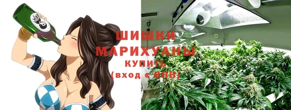 apvp Корсаков